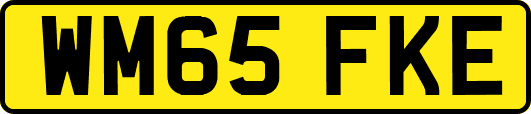 WM65FKE