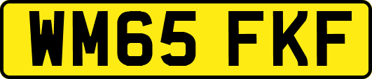 WM65FKF