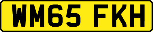 WM65FKH