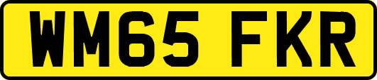 WM65FKR