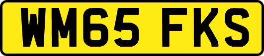 WM65FKS