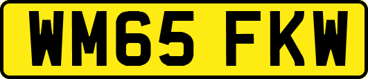 WM65FKW