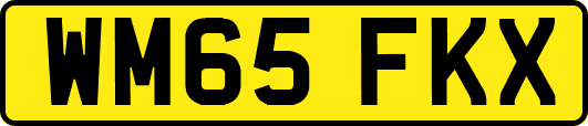 WM65FKX