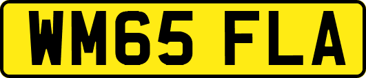 WM65FLA