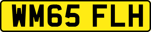 WM65FLH