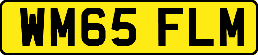 WM65FLM