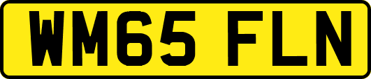 WM65FLN