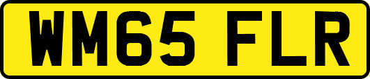 WM65FLR