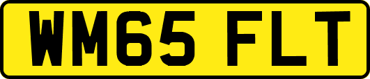 WM65FLT