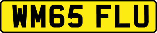 WM65FLU