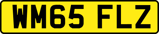 WM65FLZ