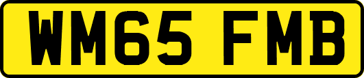 WM65FMB
