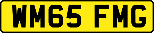 WM65FMG