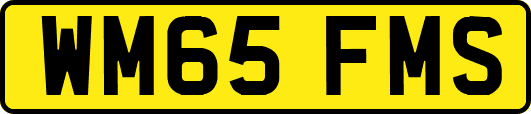 WM65FMS