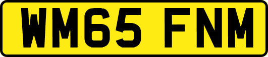 WM65FNM