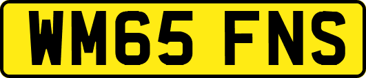 WM65FNS
