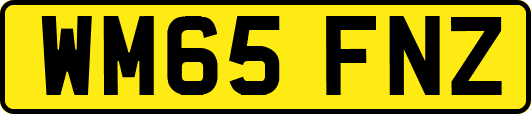 WM65FNZ