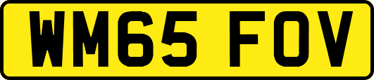 WM65FOV
