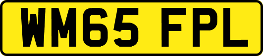 WM65FPL