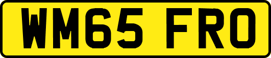 WM65FRO