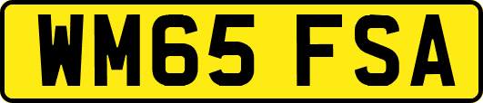 WM65FSA