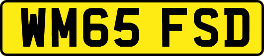 WM65FSD