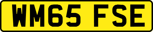WM65FSE