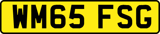 WM65FSG