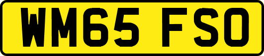 WM65FSO