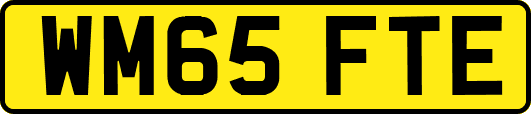 WM65FTE