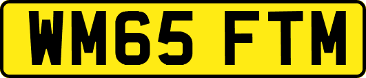 WM65FTM