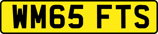 WM65FTS