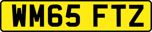 WM65FTZ