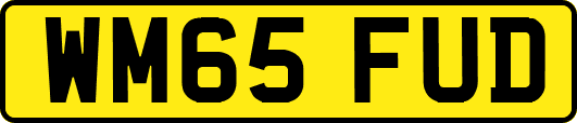 WM65FUD