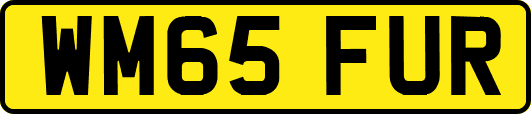 WM65FUR