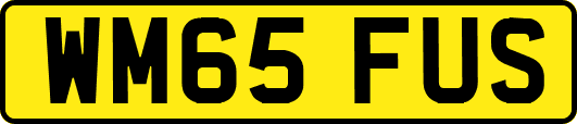 WM65FUS