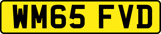 WM65FVD