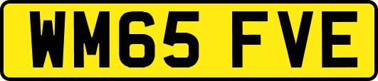 WM65FVE