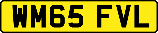 WM65FVL