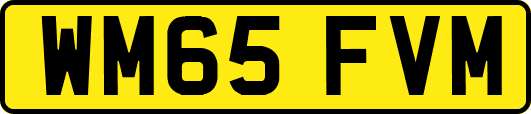 WM65FVM