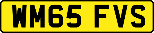 WM65FVS