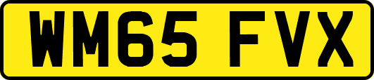 WM65FVX