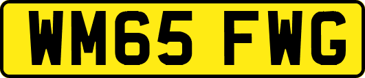 WM65FWG