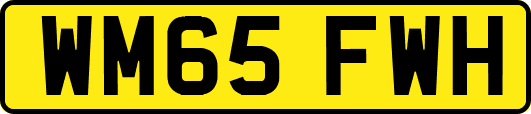 WM65FWH