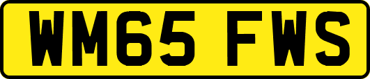 WM65FWS