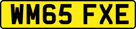WM65FXE