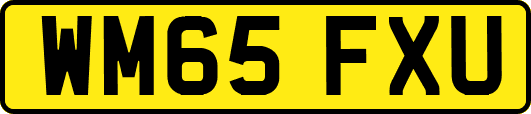 WM65FXU