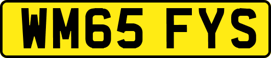WM65FYS