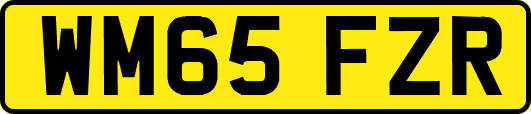WM65FZR