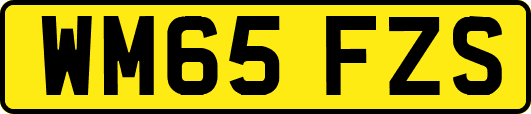 WM65FZS